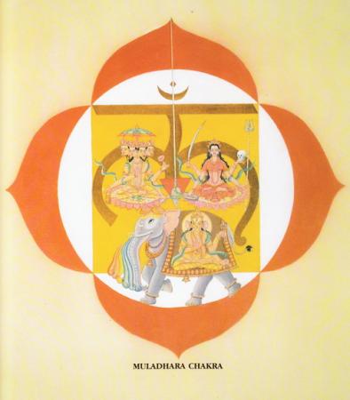 muladhara
